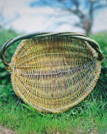 Willow Frame Basket on grass
